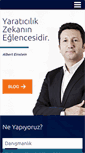 Mobile Screenshot of enginbaran.com